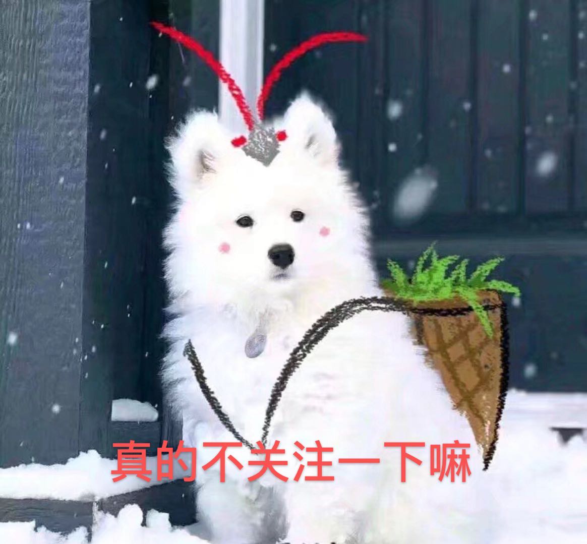 《山海情》后，正午阳光又上新剧，曾被压3年，