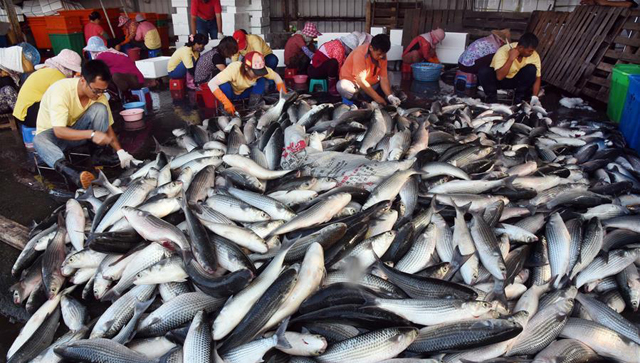 日本要往太平洋倒核廢水了，台灣隔得那麼近，卻卑微到不敢抗議？