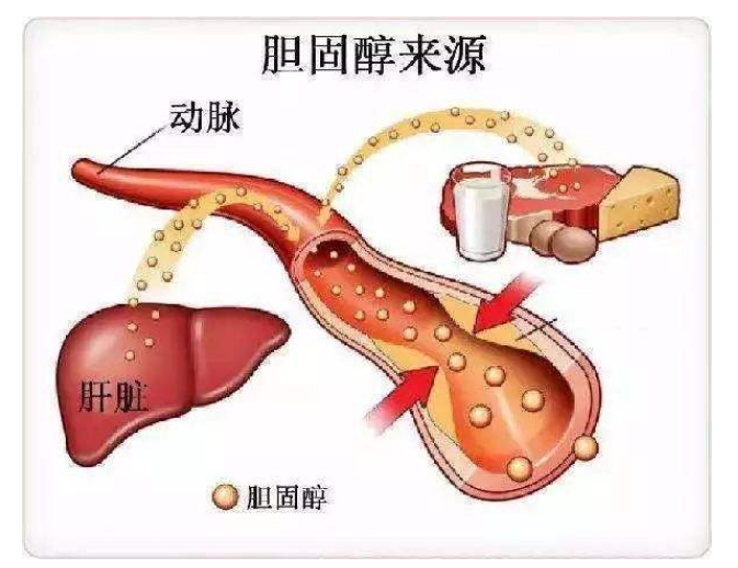 藏红花的养生功效，常食身体慢慢会有4大好处