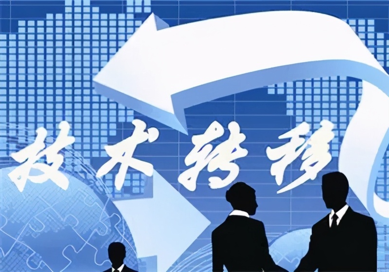上大MBA师之灼见 | 杨文硕：蜜蜂乘数诠释技术转移