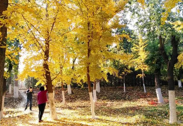 乐观豁达的唯美句子：人生不能虚度，自己要对得起自己