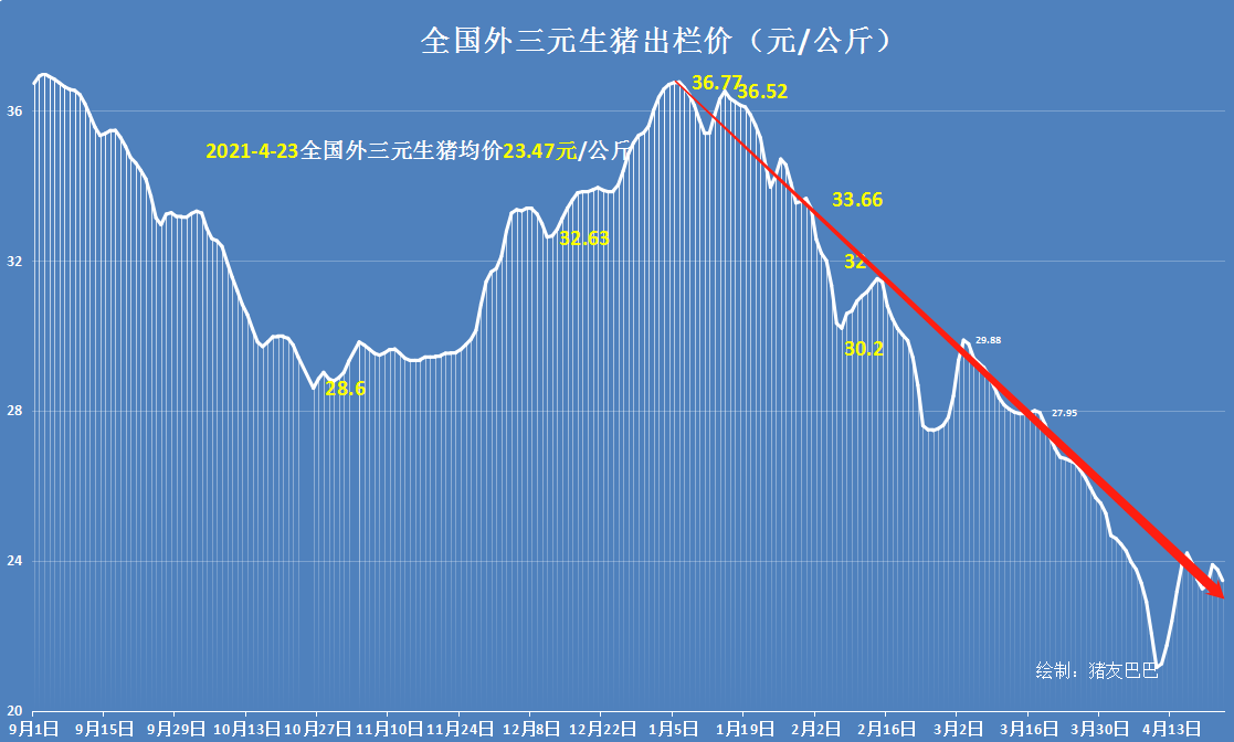 猪价大跌13.3元，23地行情跌绿，月底猪价上涨要落空？预测来了