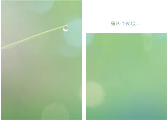 十大门窗品牌金美欣邀风至，一轮明月照窗前