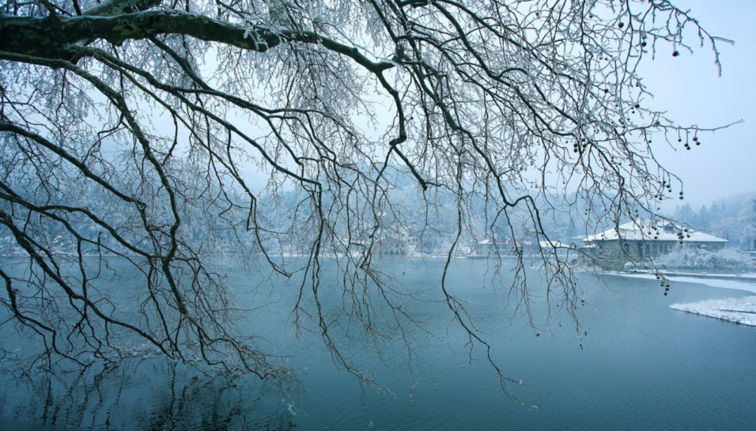 「诗词鉴赏」十首冬景的诗词，冬天的景色，在最美的诗词里-第4张图片-诗句网