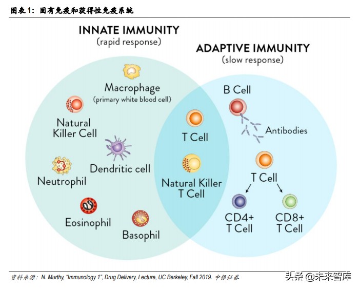 疫苗技术专题分析报告：mRNA疫苗开启疫苗行业新时代