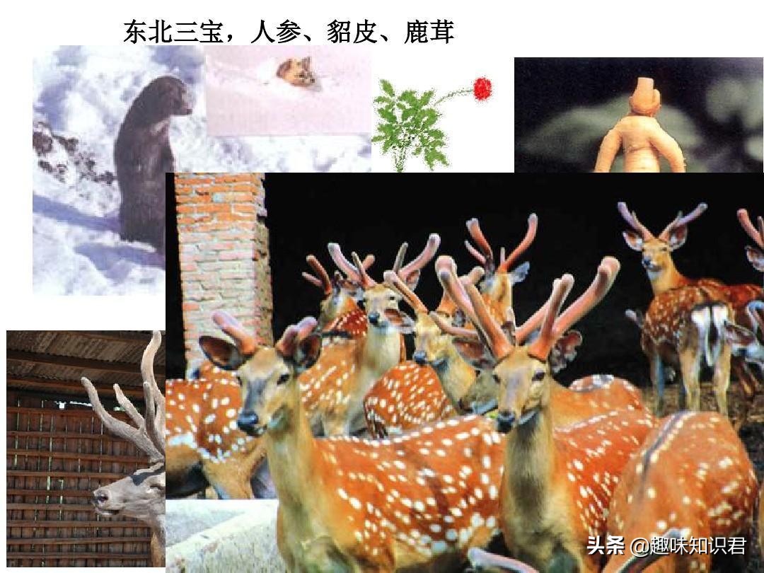 每日科普：新鮮出爐的冷知識分享