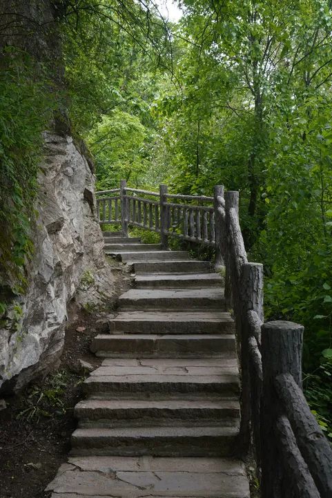 山水秦岭 | 是时候去秦岭秘境，拥抱夏日诗意慢生活