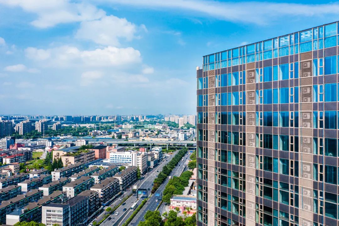 曾经播下的希望种子，此刻已枝繁叶茂