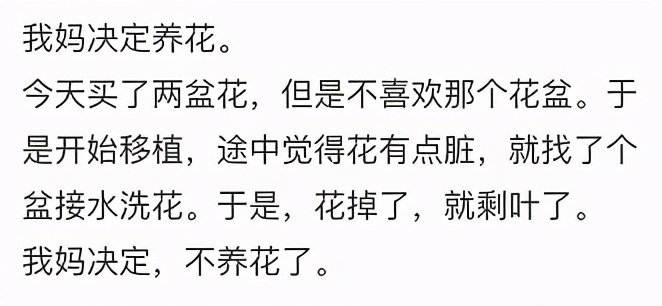 为什么人一过40岁，就喜欢把家里搞成植物园？