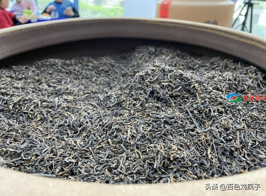 神秘茶叶藏家11.8万元拍走这款广西茶｜春茶开采进行时