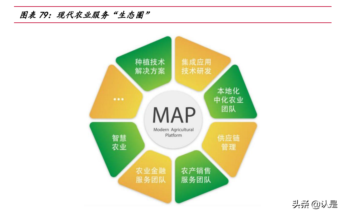 荃银高科专题报告：种业+服务打造产业闭环，借力先正达弯道超车