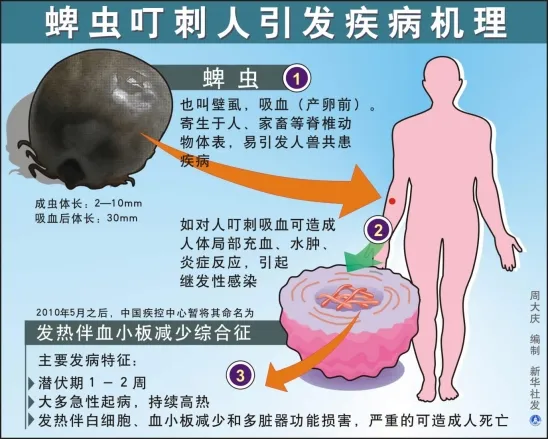 最近高发！新型病毒导致高热、出血，危重症死亡率高达70%！已有人中招！