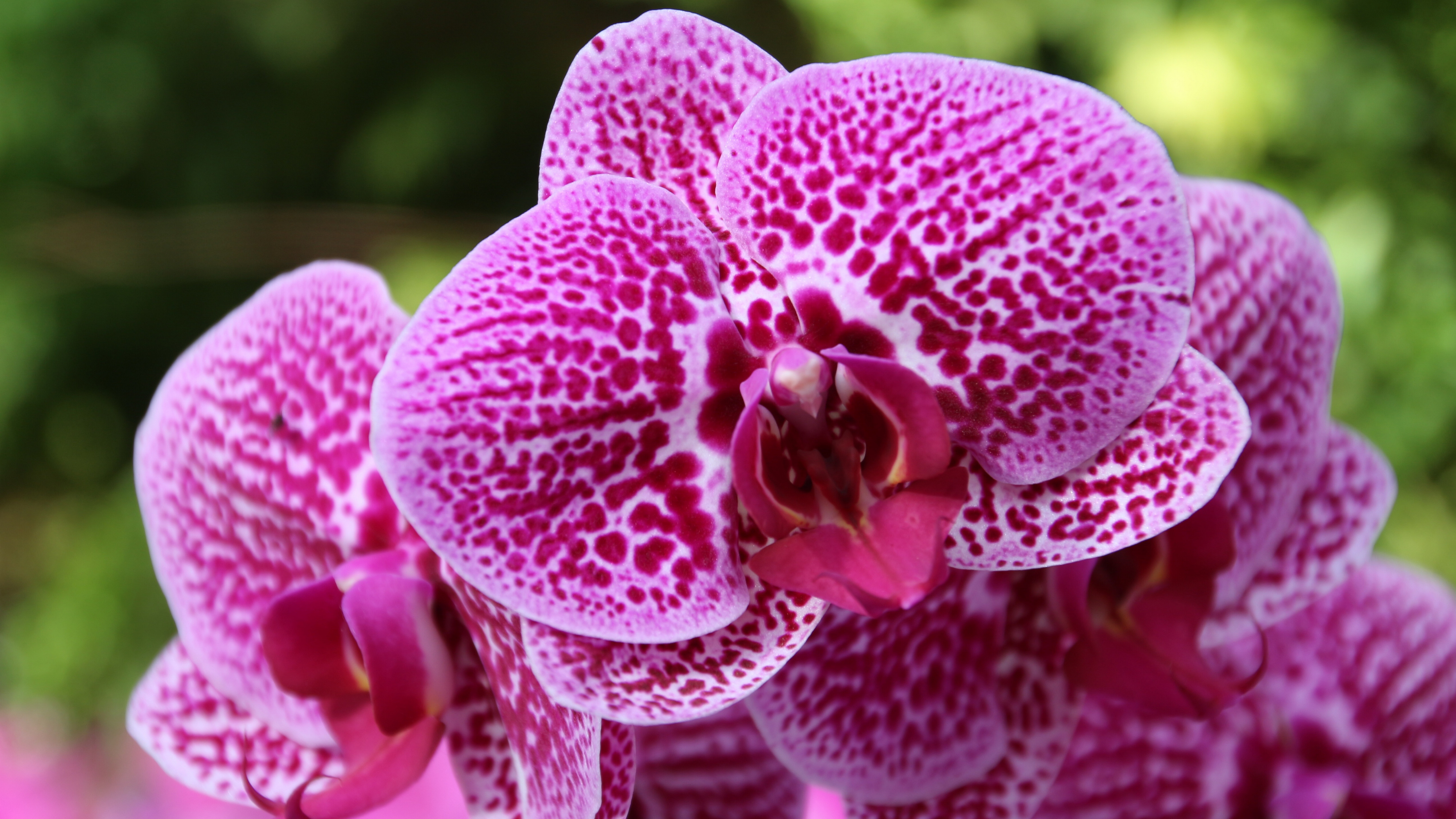 3月13日星座運勢 金牛座腳踏實地 雙魚座遊刃有餘 不做神仙的小妖 Mdeditor