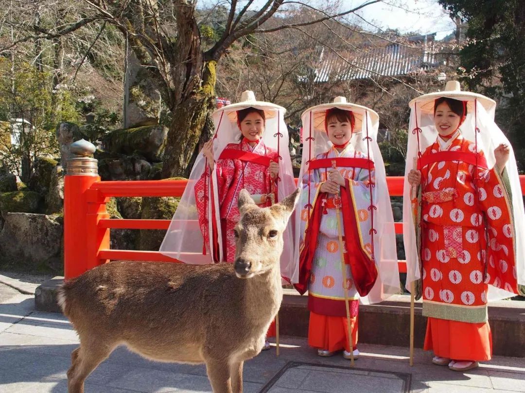 罩袍争议背后，能有效保护女性，日本也曾普及，城市农村各不同