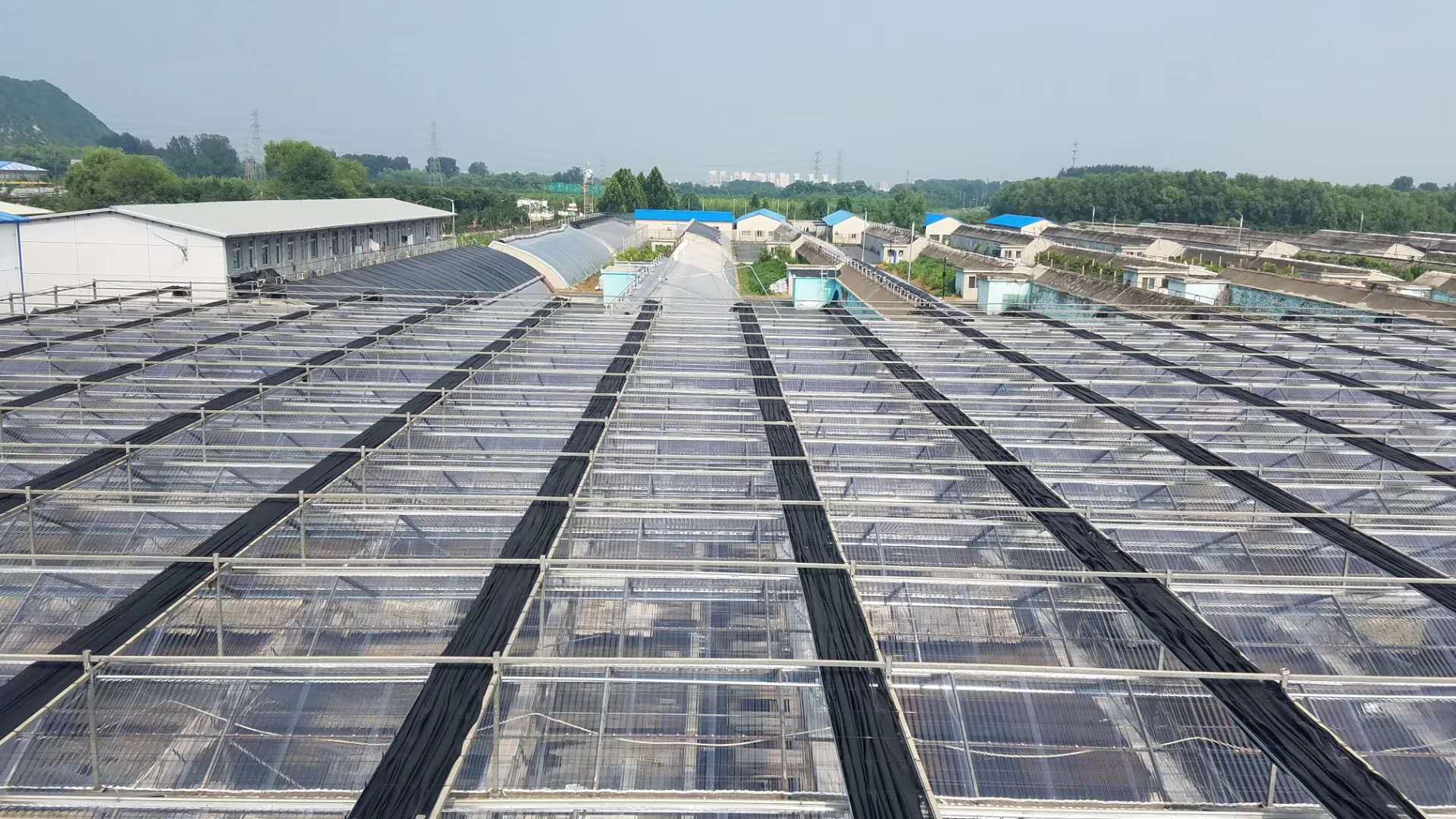 温室大棚之北方人爱用的纹络型温室顶部覆盖阳光板如何区分优劣