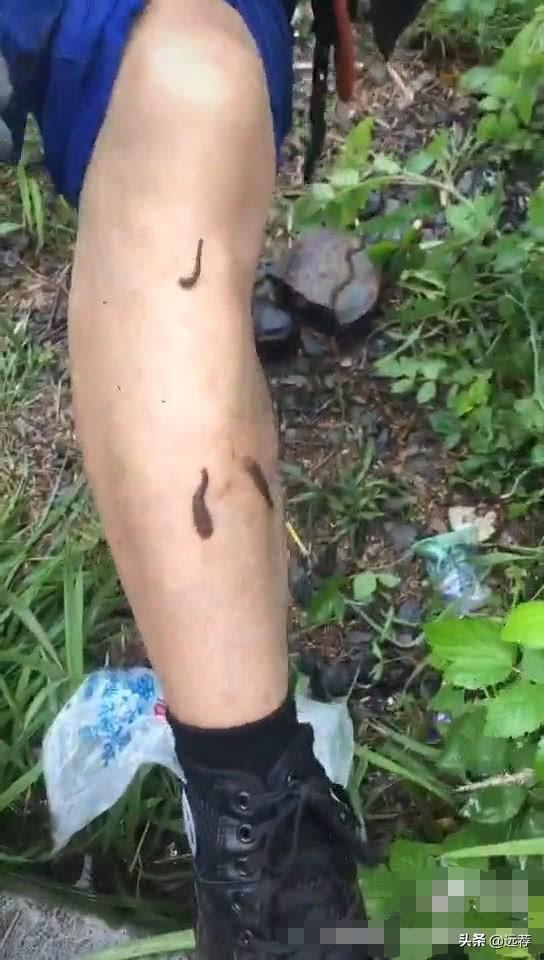 翼装飞行失联女大学生确定死亡，人躺在草丛里