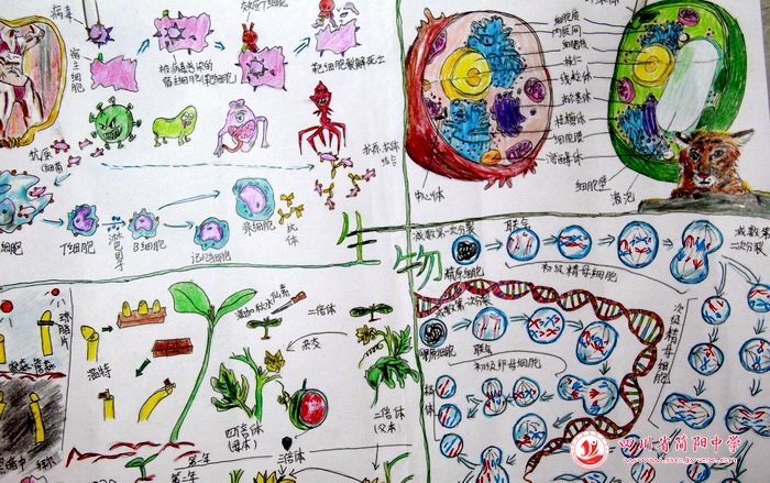 四川省简阳中学怎么样?首届生物学科节(图41)