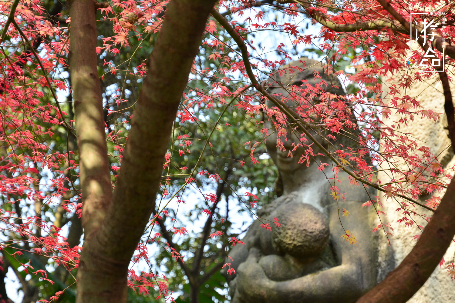 重庆百年古迹被毁，只为建职业教育中心，佛图关再无夜雨寺