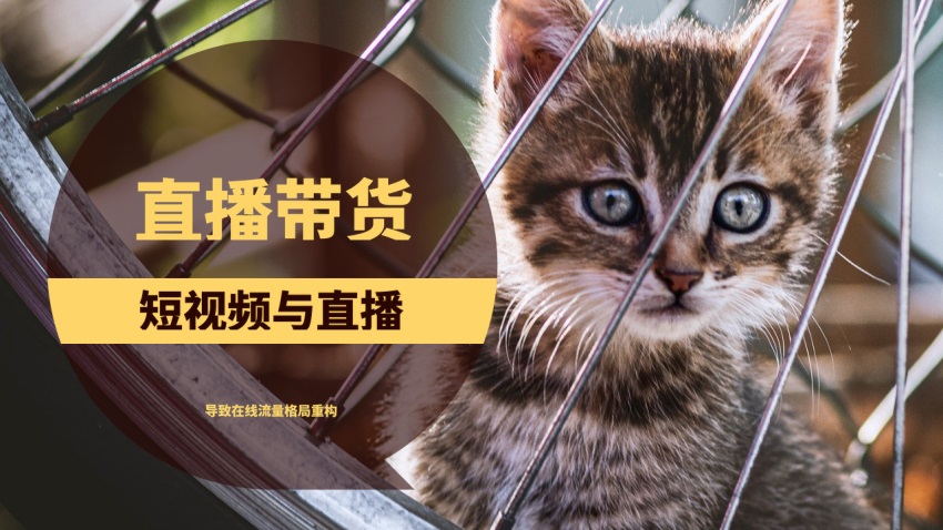 短视频和直播导致了在线流量格局的重构