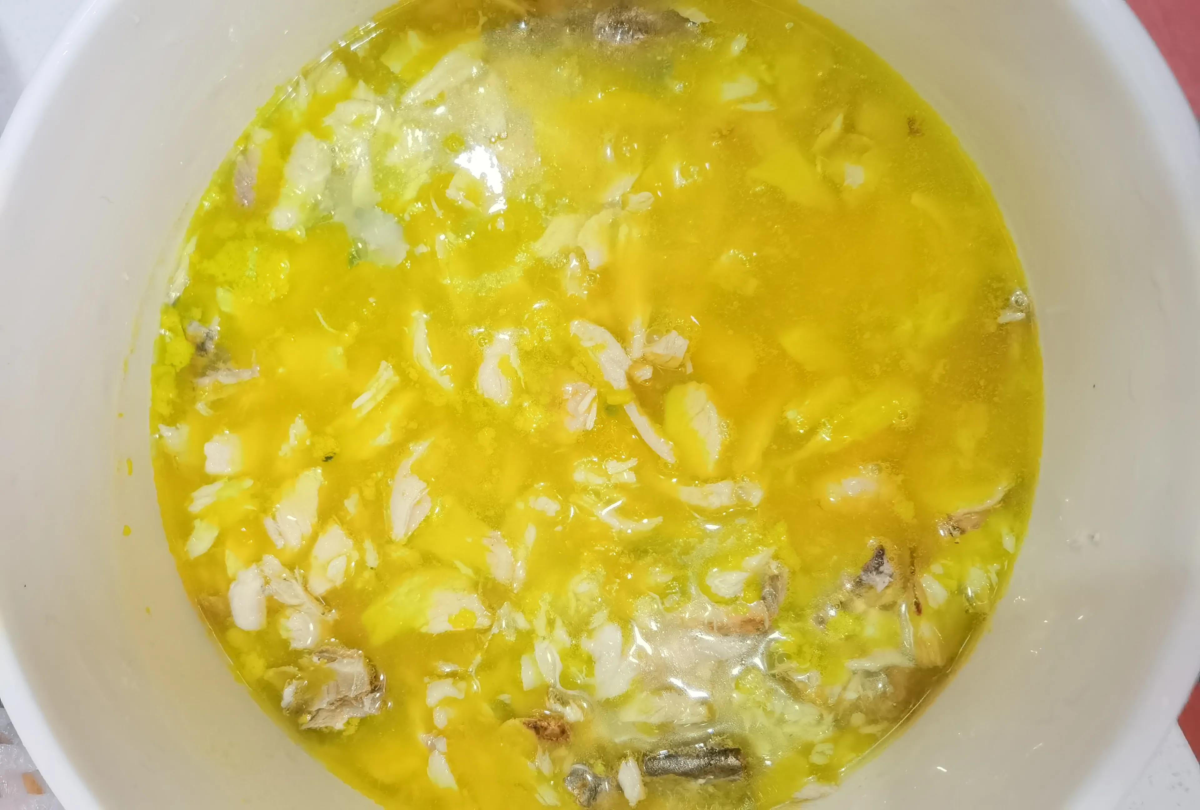 你准备好养宠物了吗，近4年养宠经验带你入门成为合格主人