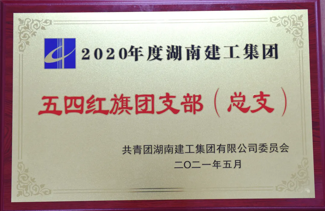 铮铮青年耀党徽，五四表彰满载归