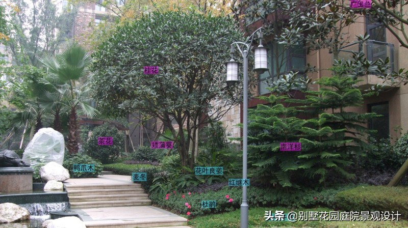 別墅庭院常用植物分享，附照片及名字標(biāo)注（珍藏版）