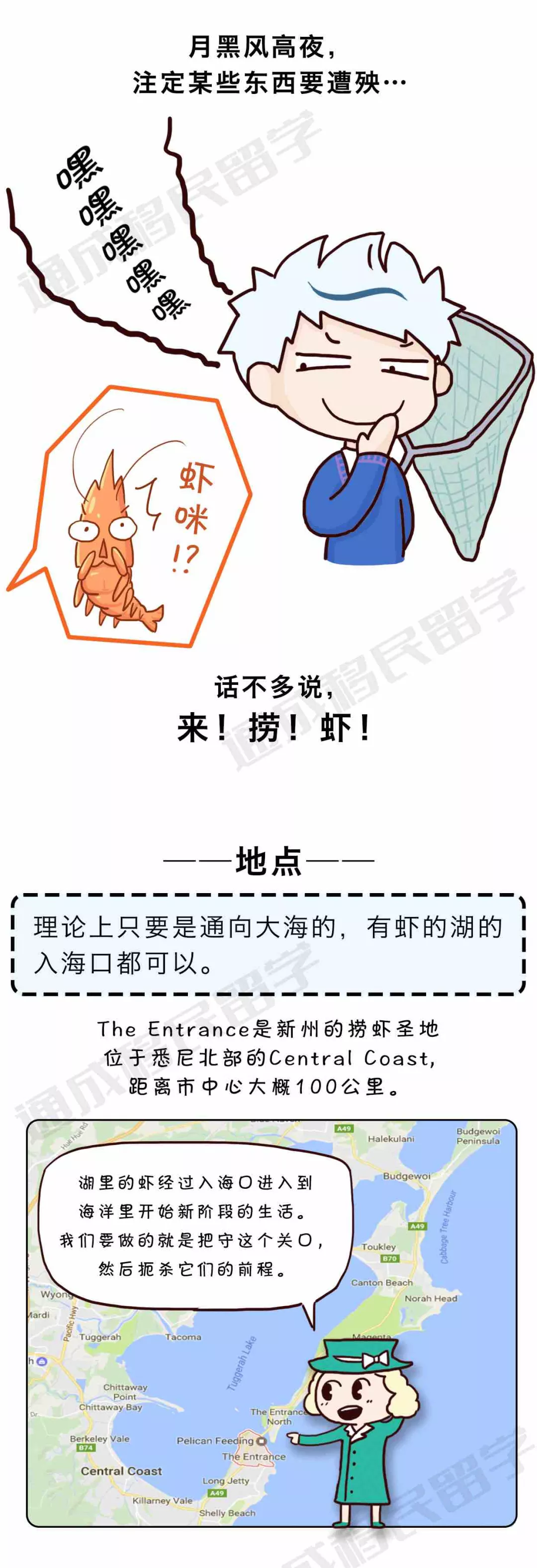 【通小成条漫】悉尼捞虾全攻略