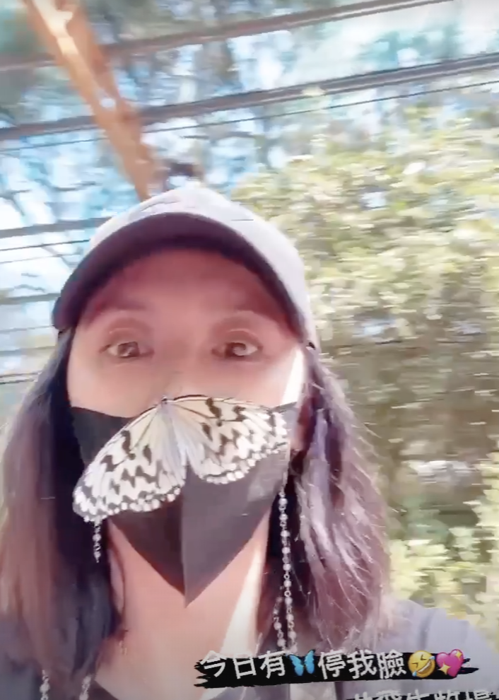 賈靜雯帶三個女兒牧場遊玩，梧桐妹雙手拎起咘咘波妞，姐姐力max