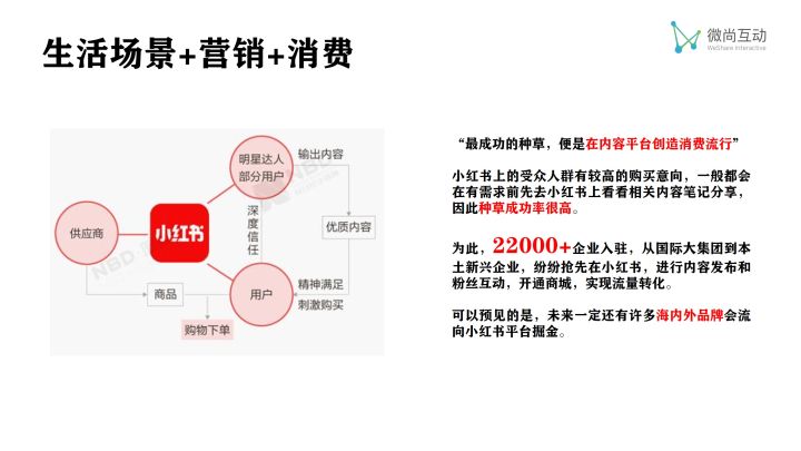 小红书推广多少钱一个月，运营案例分享