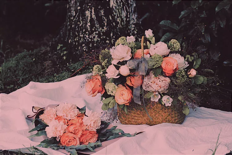 想靠短视频赚钱?分享5个正式运营前需要知道的注意事项，建议收藏