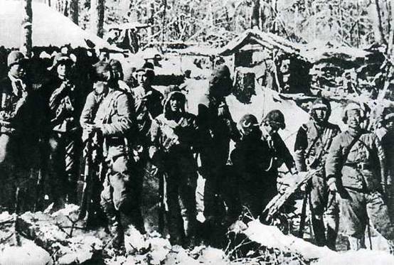 1951年春，一名解放军举报另一名解放军：他谋害了杨靖宇