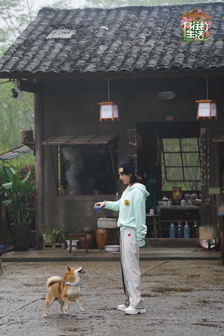 《向往5》网友为张艺兴掏鸡蛋打call 杨紫玩起新游戏