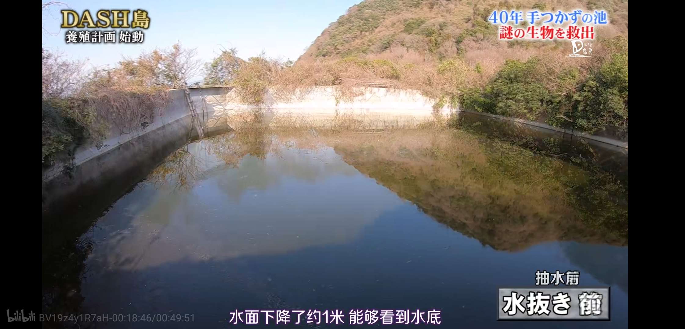 慎入！超恶心！看了这个日本综艺，我的晚饭都