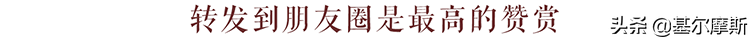诺安成长算什么，这些“科技主动权益基金”更
