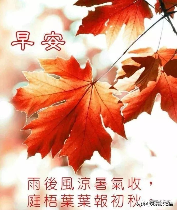 2021最新早上好动态图片带字和鲜花 闪动图片