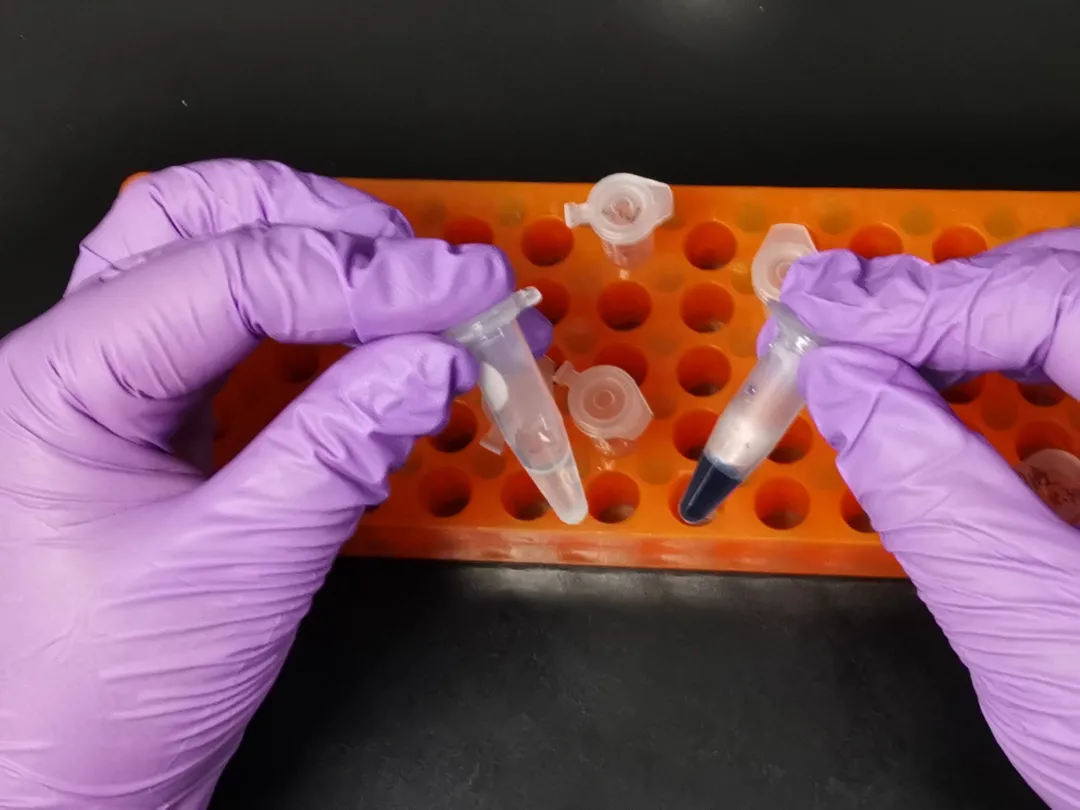 ��0��1���й���ѧ�Ҹı���ʷ