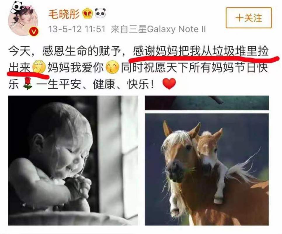 “刀尖上跳舞的灰姑娘”毛曉彤：她的三觀，憑什么那么正？