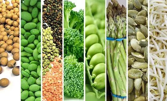 它含18種氨基酸，比肉還鮮！ 小寒後多吃，頭腦聰明，個頭長得快