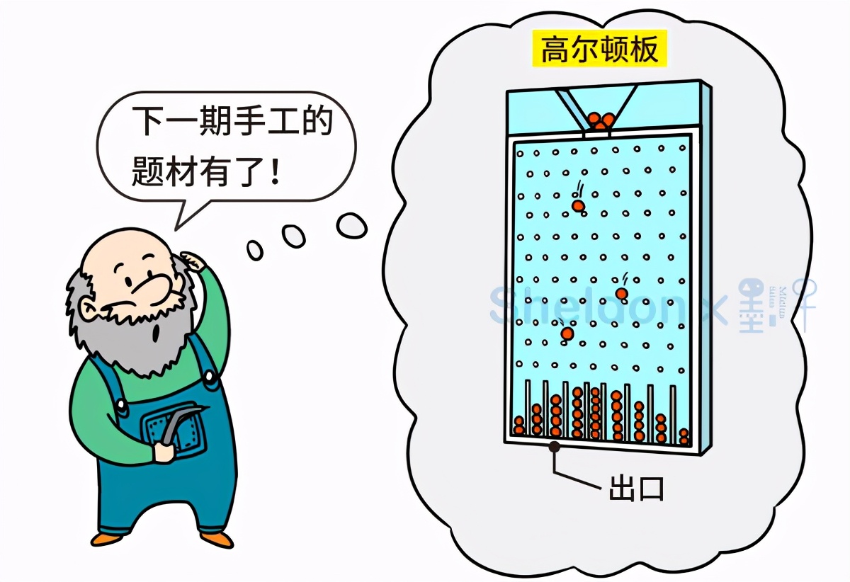 把它们一个个地扔进一种叫作"高尔顿板"的装置,其中整整齐齐钉着几十