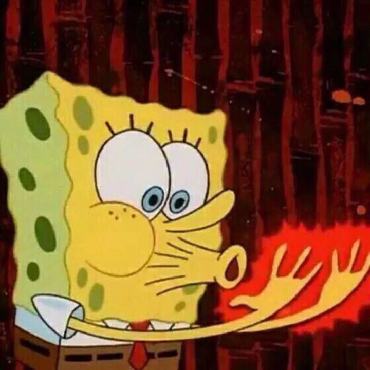 Big star of sponge darling and clique