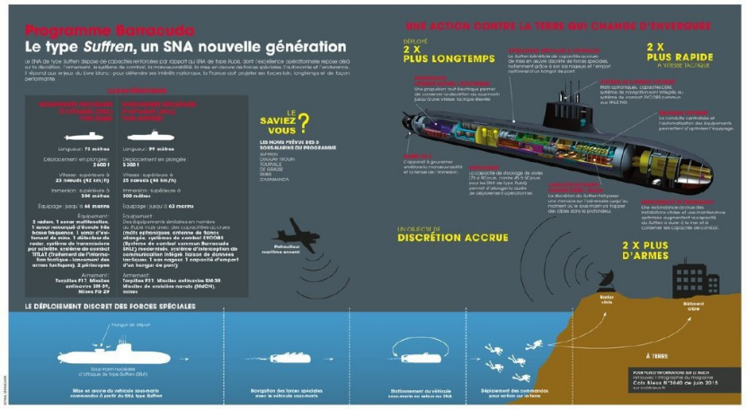 虽为“小身材”但却拥有不凡“本领”的法国海
