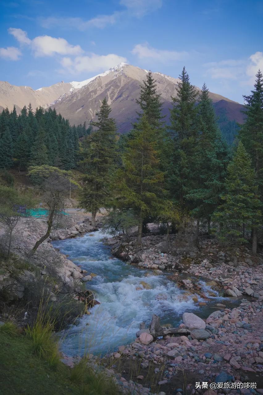 青海值得旅游的地方 青海湖最佳旅游月份(圖27)