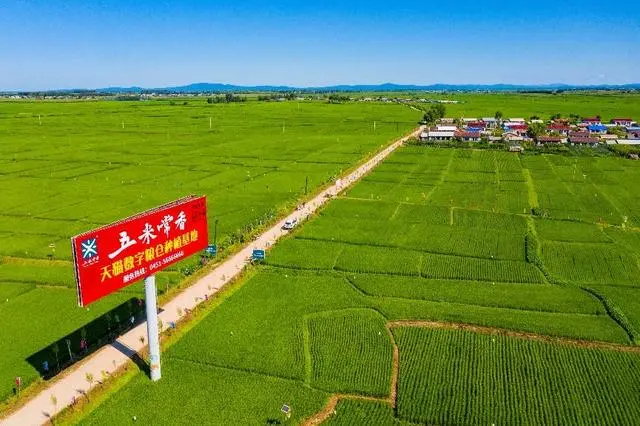 中国农民在减少，农产品为什么能增加？