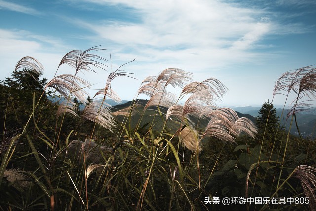 莫干山是不是避暑圣地？