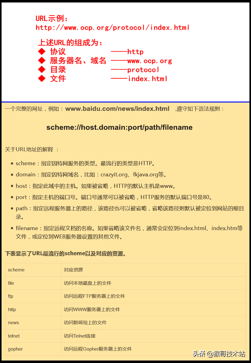 一文看懂：网址，URL，域名，IP地址，DNS，域名解析