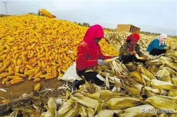 我替农民问个尖锐的问题：粮食价格要求平稳，