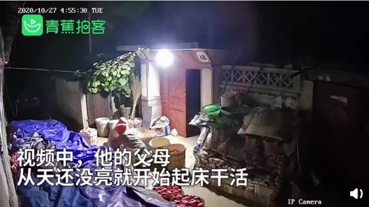 街头男子套绳被女子牵着跪行,民警查问【三分钟法治新闻全知道】
