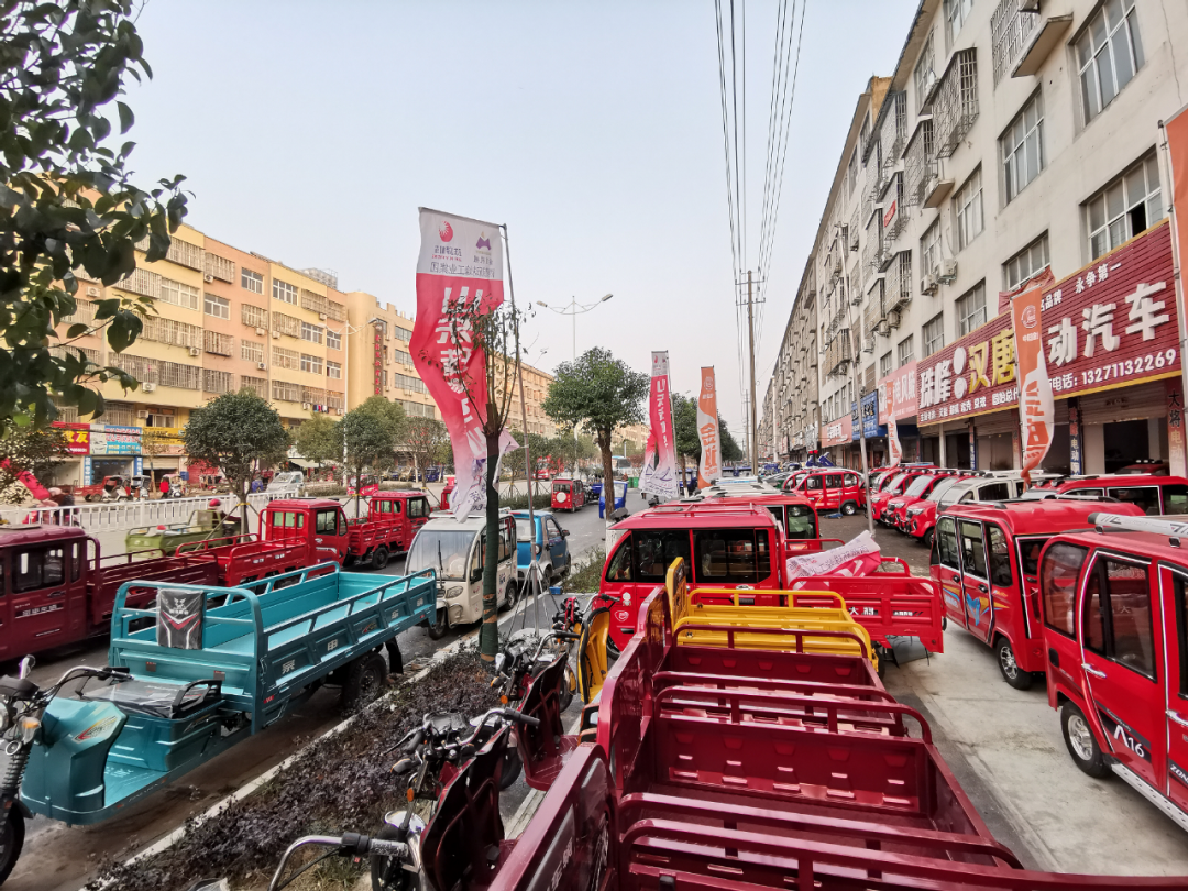 河南省固始县蓼城办事处岔花社区党支部“头雁”引领居民兴业致富