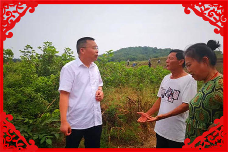 目前在农村，养殖什么风险小、回本快？这几种