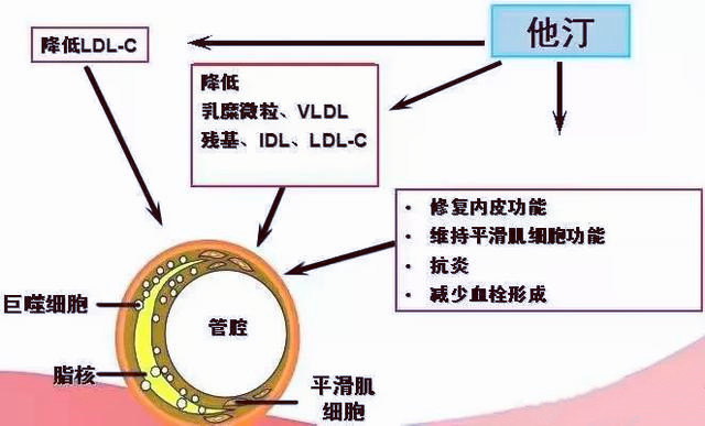 降血脂的瑞舒伐他汀都有哪些功效和特点？